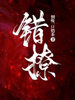 《错撩》完结版精彩试读_《错撩》最新章节列表