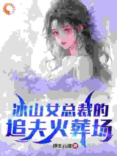 《林月嫣江彻》小说章节列表免费阅读_冰山女总裁的追夫火葬场小说全文