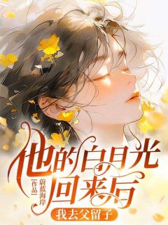 许笑然叶潋盛蕊他的白月光回来后，我去父留子小说精彩章节免费试读