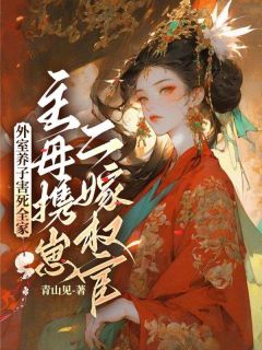 外室养子害***，主母携崽二嫁权宦》精彩章节列表在线试读_虞棠韩渡小说