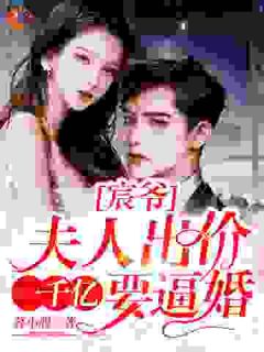 宸爷，夫人出价一千亿要逼婚楚菱司宸大结局在线阅读