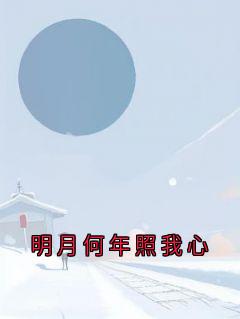 明月何年照我心姜念夏陆时越_by姜念夏完整在线阅读