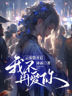 《云雾散开后，我不再爱你》小说章节免费阅读_宋临川林轻轻小说阅读