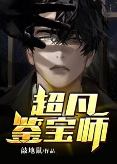 超凡鉴宝师陈锐秦婉儿目录_超凡鉴宝师小说阅读