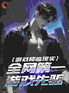 《林渊赵穹》小说章节列表在线试读_游戏降临现实，全网第一游戏先驱小说阅读