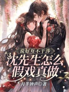 裴亦楚沈薄妄说好互不干涉，沈先生怎么假戏真做！结局完整全文