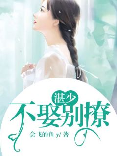 《湛少：不娶别撩》小说全文精彩章节在线阅读（苏欢喜湛天仰）