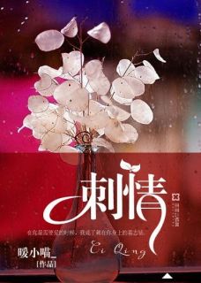 苏妍秦屹刺情小说精彩内容在线阅读
