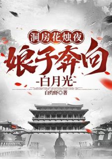《洞房花烛夜，娘子奔向白月光》李九霄林诗薇章节目录在线阅读__第8章