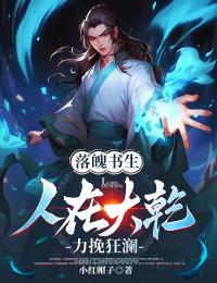 《落魄书生：人在大乾，力挽狂澜》李子书沈幼娘章节列表精彩阅读