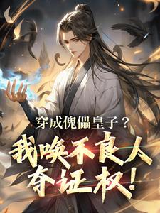 《穿成傀儡皇子？我唤不良人夺证权！》小说章节目录精彩试读_赵尘赵临小说阅读