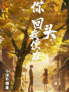 你回头，我便在周晚清谢南洲小说全部章节目录