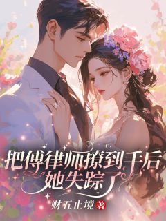 把傅律师撩到手后，她失踪了完整全文阅读_姜黛傅淮之小说结局无删节