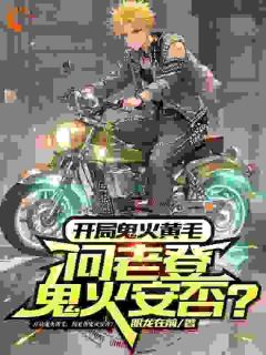 《开局鬼火黄毛，问老登鬼火安否？》(陆野冉然然)小说阅读by深海飞鱼