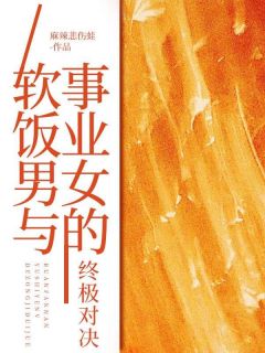 《软饭男与事业女的终极对决》全文免费章节在线试读_陆沛王燕雪宋锦小说