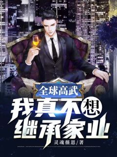全球高武：我真不想继承家业叶昭韩灵素小说全文免费阅读