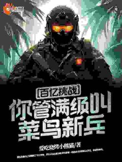 百亿挑战：你管满级叫菜鸟新兵？小说免费阅读_秦昊姜为民小说大结局在线阅读