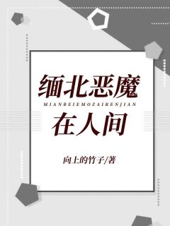 缅北恶魔在人间by向上的竹子无防盗章在线阅读