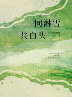 《苏瑞雪顾淮安》小说章节列表精彩阅读_同淋雪，共白头小说阅读