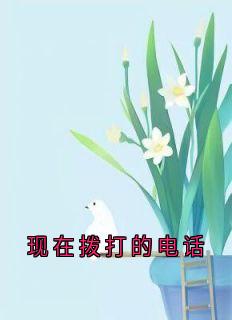 完整版《现在拨打的电话》洪熙珠白司言全文免费阅读