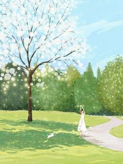 《我退出婚礼策划团队后，老公被解雇了》全文精彩章节在线阅读（江玲秦尘沈辞）