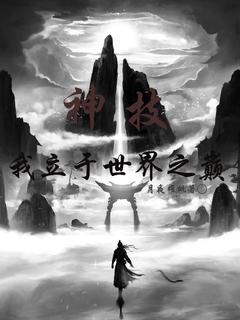 王叶白夜神技：我立于世界之巅小说全文章节阅读_王叶白夜免费精彩章节