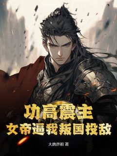 功高震主，女帝逼我叛国投敌宁烈慕容雪目录_功高震主，女帝逼我叛国投敌阅读