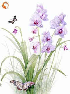 《快穿：我的宿主胆小又幸运》小说精彩试读_《快穿：我的宿主胆小又幸运》最新章节列表