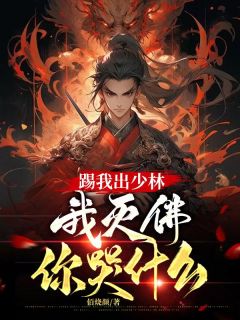 《踢我出少林，我灭佛你哭什么》免费阅读_林源林福全小说在线阅读