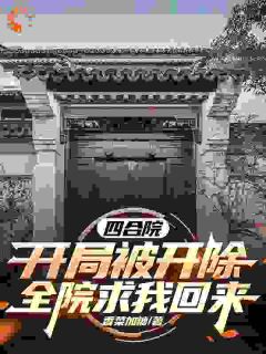 《杨兴邦许大茂》小说章节精彩试读_四合院：开局被开，全院求我回来小说全文