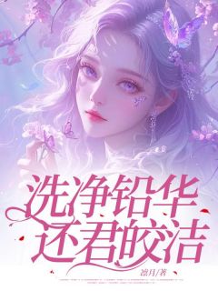 《洗净铅华，还君皎洁》全文及大结局精彩试读_许佳念江时序小说
