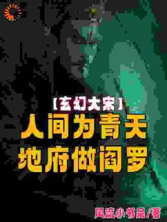《大宋：人间为青天，地府做阎罗》已完结版全文章节阅读_包拯包兴小说