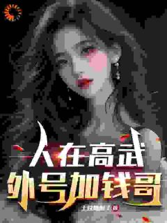 李辰王卫国人在高武，外号加钱哥小说在线阅读全文章节目录完整版
