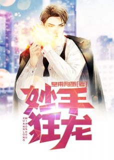 林坏叶倾城妙手狂龙小说全部章节目录