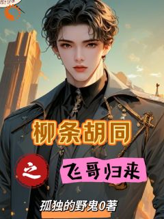 《叶飞张天明》柳条胡同之飞哥归来小说全本免费试读