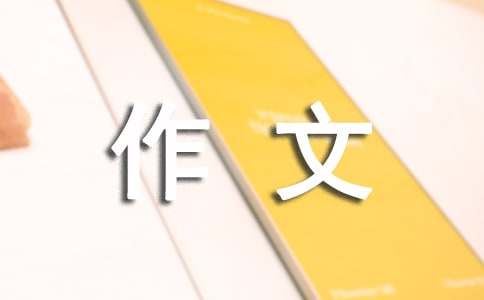 过年了作文